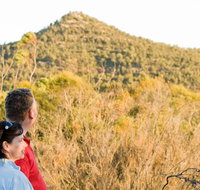 Piles Creek loop - Kawana Tourism