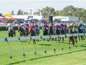 Morphettville Racecourse - Kawana Tourism 0