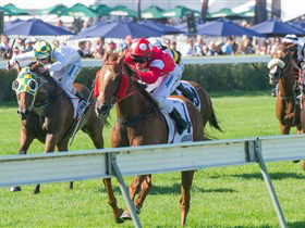 Morphettville Racecourse - Kawana Tourism 2