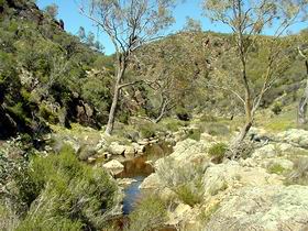 Saunders Gorge Sanctuary - Kawana Tourism 1