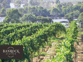 Banrock Station Wine And Wetland Centre - Kawana Tourism 0