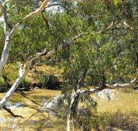 Quilberry Creek Fishing - Kawana Tourism