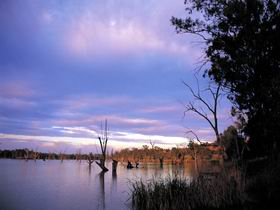 Loch Luna Game Reserve And Moorook Game Reserve - Kawana Tourism 0
