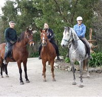 Academy of Dressage - Kawana Tourism