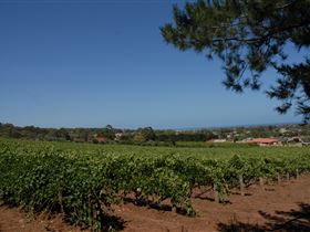 Grancari - Kawana Tourism 0