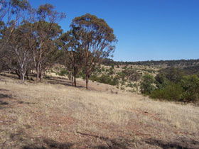 Onkaparinga River National Park - Kawana Tourism 0