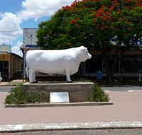Aramac - The White Bull - Kawana Tourism