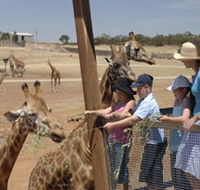 Monarto Open Range Zoo - Kawana Tourism