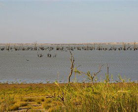 Lake Victoria - Kawana Tourism 0