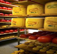 Alexandrina Cheese Company - Kawana Tourism