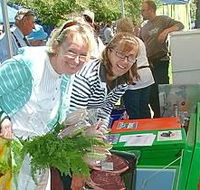 Victor Harbor Farmers Market - Kawana Tourism