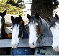 Victor Harbor Horse Drawn Tramway - Kawana Tourism