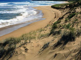  Kawana Tourism