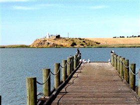 Ashville SA Kawana Tourism