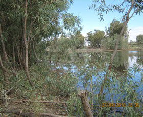 Thegoa Lagoon And Reserve - Kawana Tourism 1