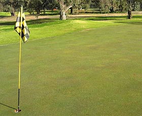 Wentworth Sporting Complex - Kawana Tourism 0