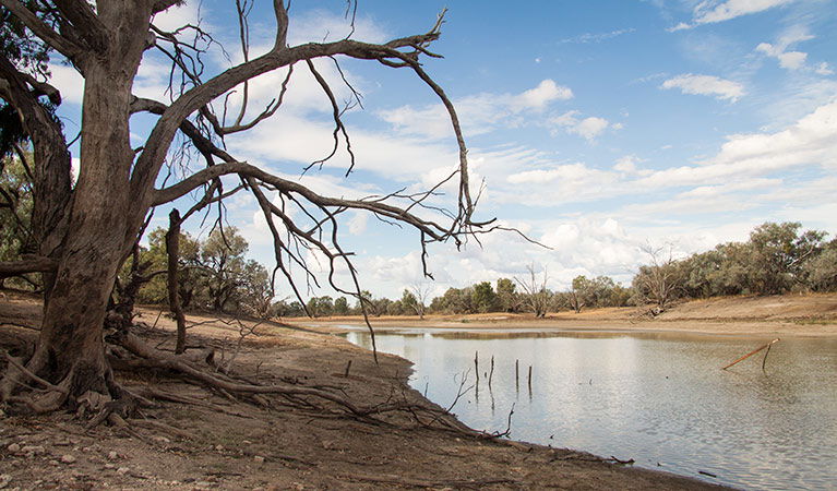 Hungerford NSW Kawana Tourism