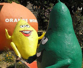 Orange World - Kawana Tourism 0