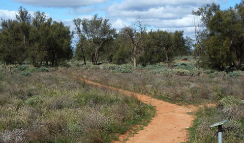 Grasslands Nature Trail - Kawana Tourism 0