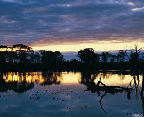 Linga ACT Kawana Tourism