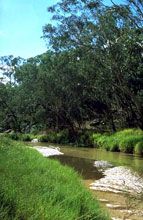 Salvator Rosa Section - Carnarvon National Park - Kawana Tourism 0