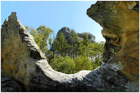 Salvator Rosa Section - Carnarvon National Park - Kawana Tourism 1