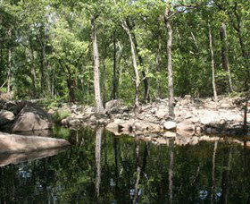 Gubara - Kawana Tourism 0