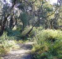 Nilla Yannagalang Billana - Kawana Tourism