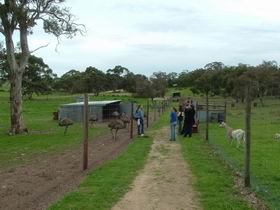 Avenue Range ACT Kawana Tourism