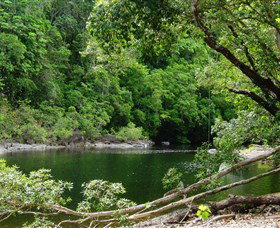 Broadwater, Abergowrie State Forest - Kawana Tourism 0