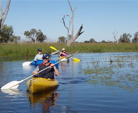 Coolabah NSW Kawana Tourism