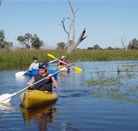 Marsh Meanders - Kawana Tourism