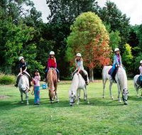Limestone Coast Horseriding - Kawana Tourism