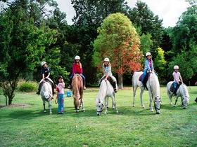 Limestone Coast Horseriding - Kawana Tourism 0