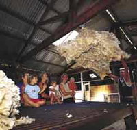 Shear Outback the Australian Shearers Hall of Fame - Kawana Tourism