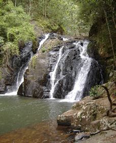 Pepina Falls - Kawana Tourism 0