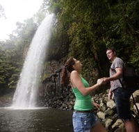 Millaa Millaa Falls - Kawana Tourism