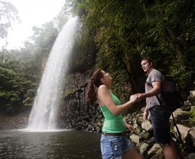Millaa Millaa Falls - Kawana Tourism 0
