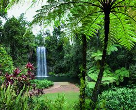 Millaa Millaa Falls - Kawana Tourism 2