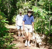 Wongabel State Forest - Kawana Tourism