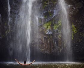 Ellinjaa Falls - Kawana Tourism 0