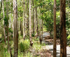Hallorans Hill Conservation Park - Kawana Tourism 0