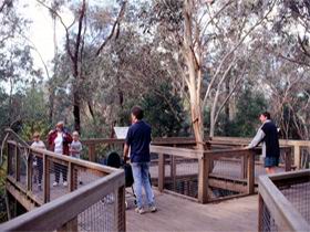 Valley Lake Conservation Park - Kawana Tourism 1
