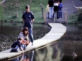 Valley Lake Conservation Park - Kawana Tourism 2