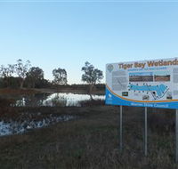 Tiger Bay Wetlands - Kawana Tourism
