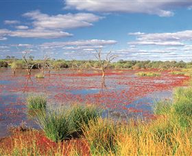 Adventure Way - Kawana Tourism 3