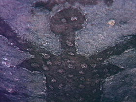 Quinkan Reserves Ancient Rock Art - Kawana Tourism 0