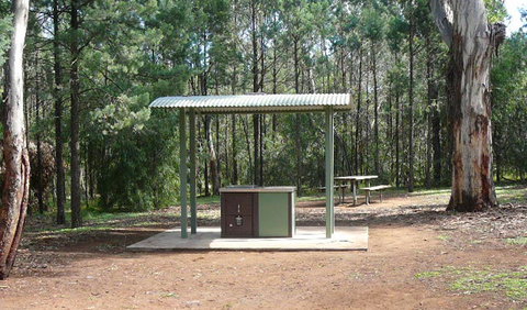 Jacks Creek Walking Track - Kawana Tourism 1