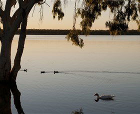 Lake Elphinstone - Kawana Tourism 2