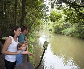 Platypus Viewing At Broken River - Kawana Tourism 1